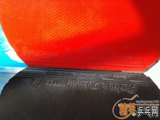 һ����Ƥ����ӭ���