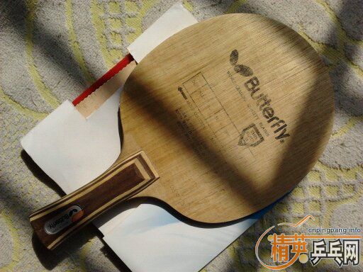 һ����Ƥ����ӭ���