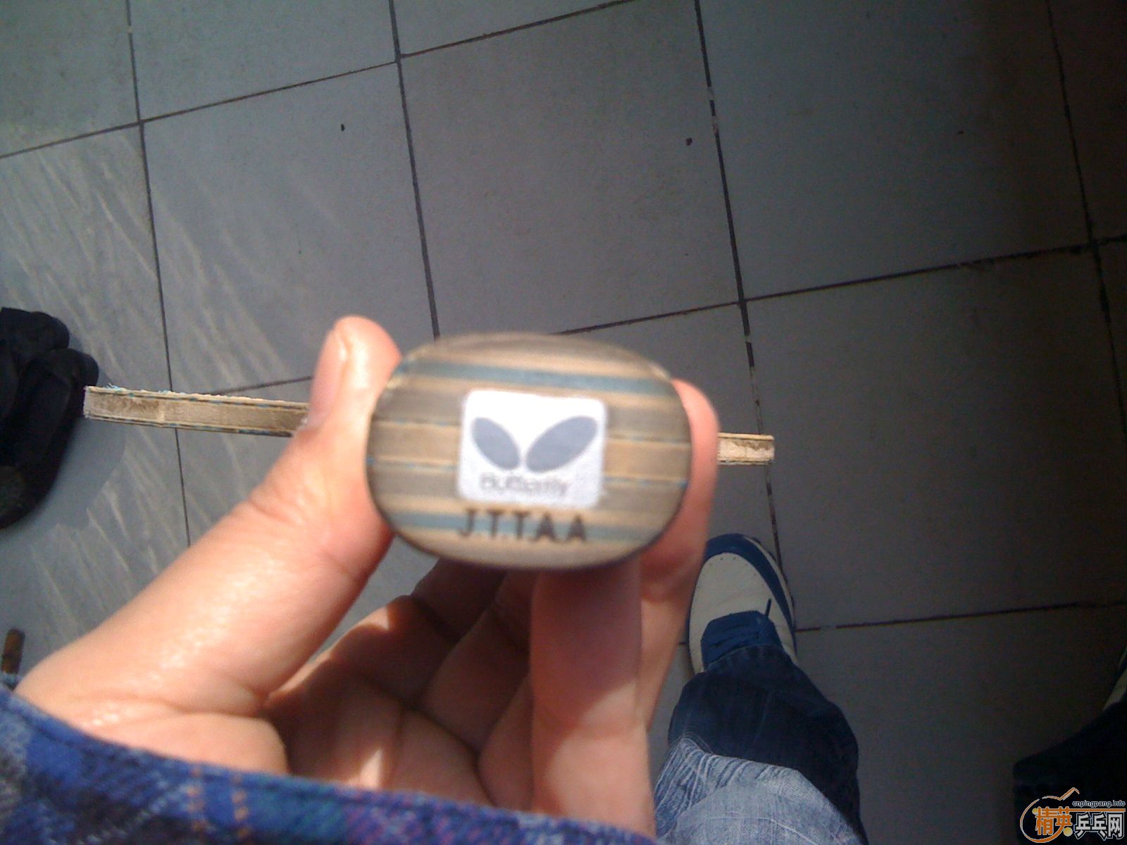 �� vis ������