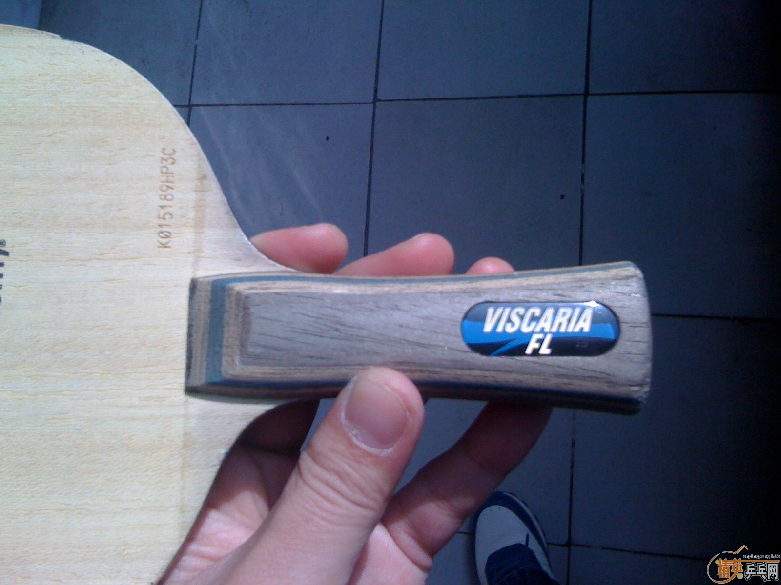 �� vis ������