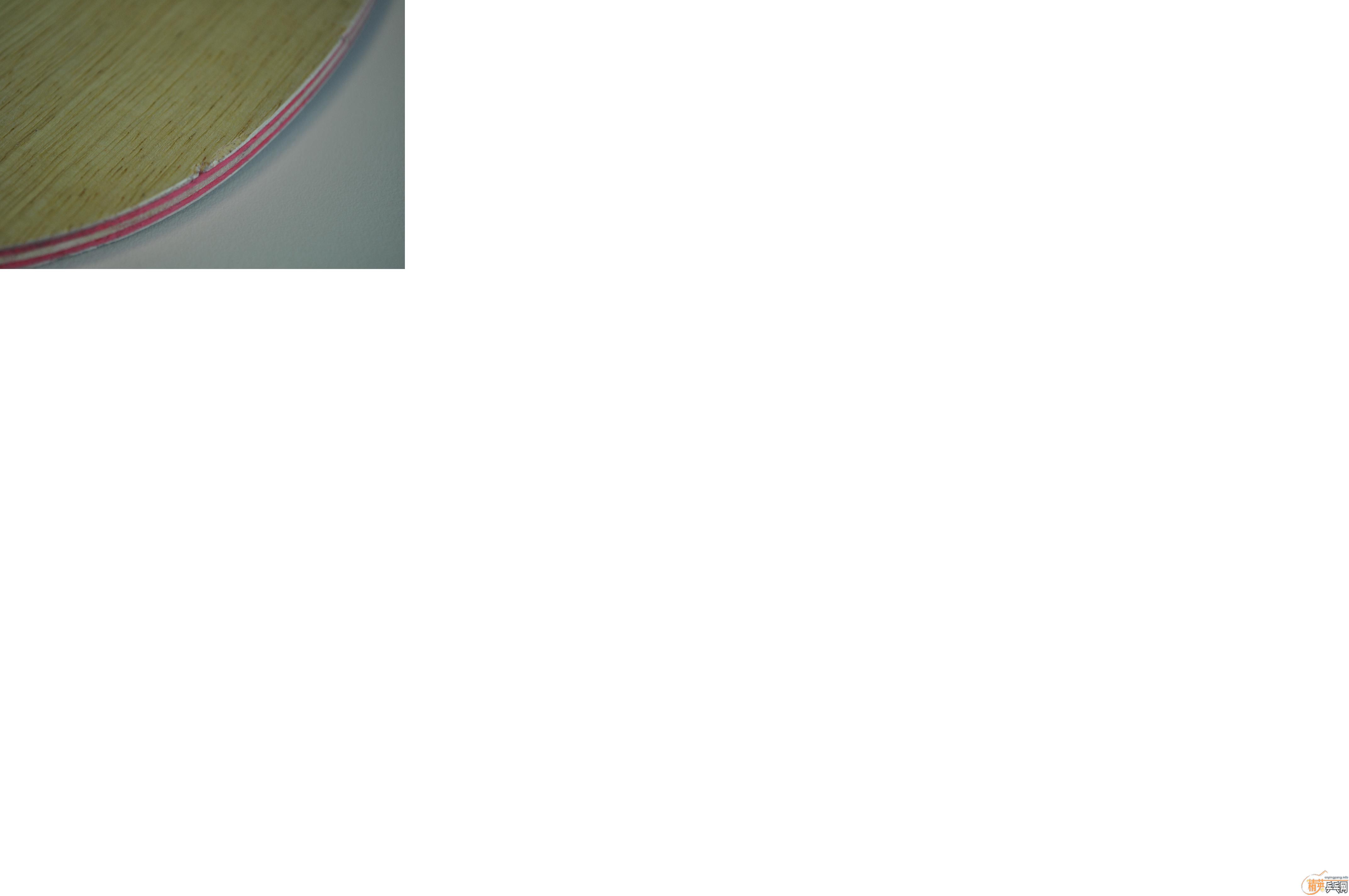 Stiga CL ֱ�� ��ʶ�����