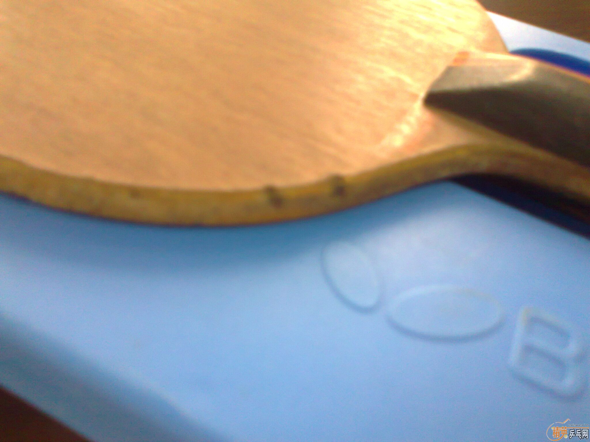 ���ѳ��л���ˮ�����Ͽ������