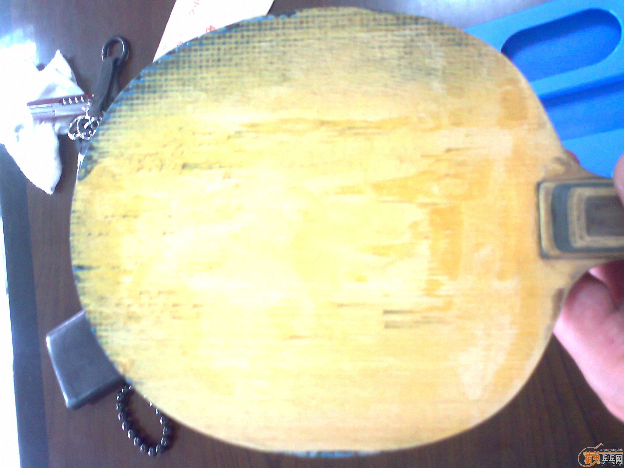 ���ѳ��л���ˮ�����Ͽ������