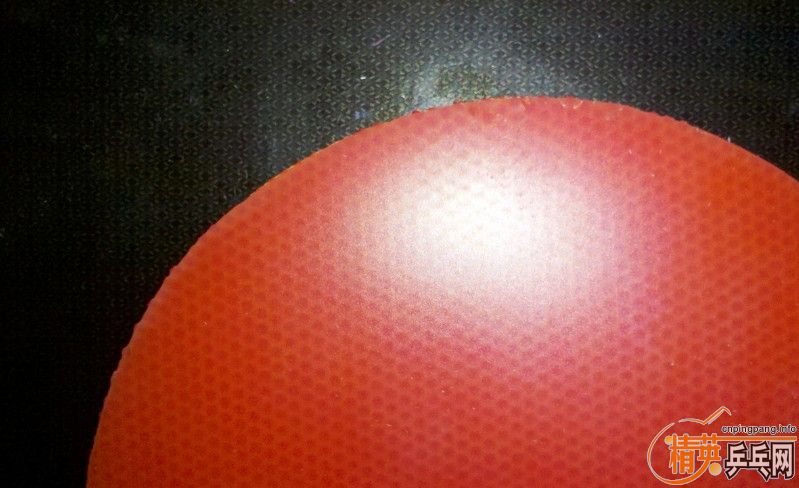 ���ȶ����� �������� ������� ֻ����� ����Ż�