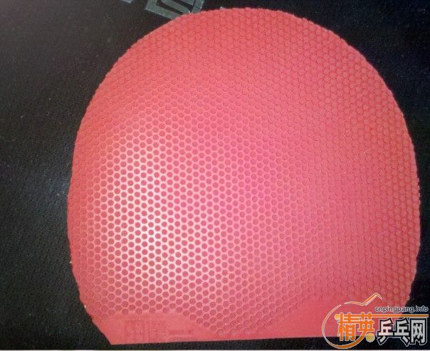 ���ȶ����� �������� ������� ֻ����� ����Ż�