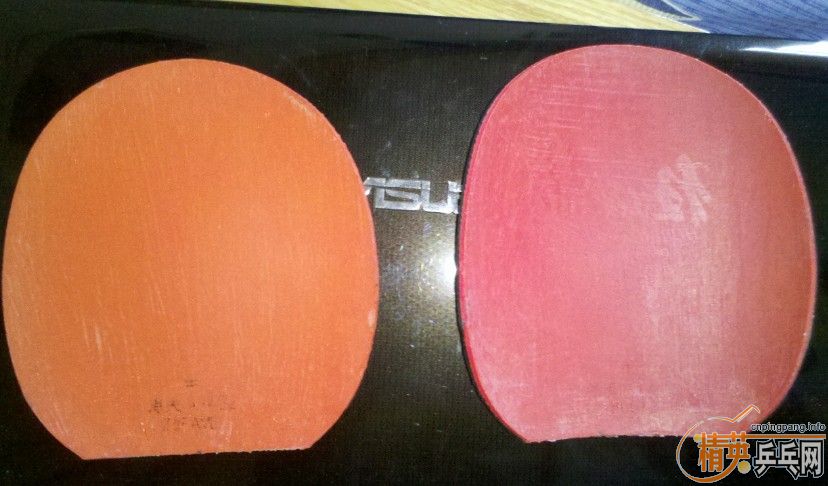 ���ȶ����� �������� ������� ֻ����� ����Ż�