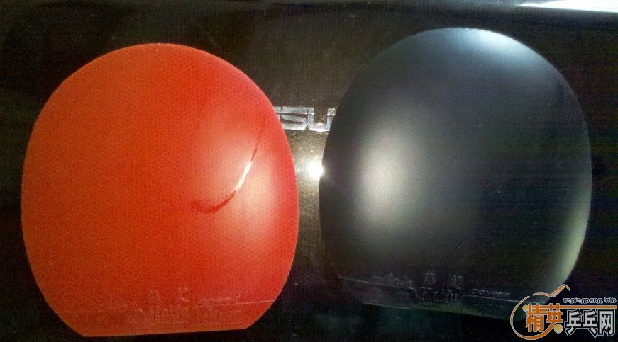 ���ȶ����� �������� ������� ֻ����� ����Ż�