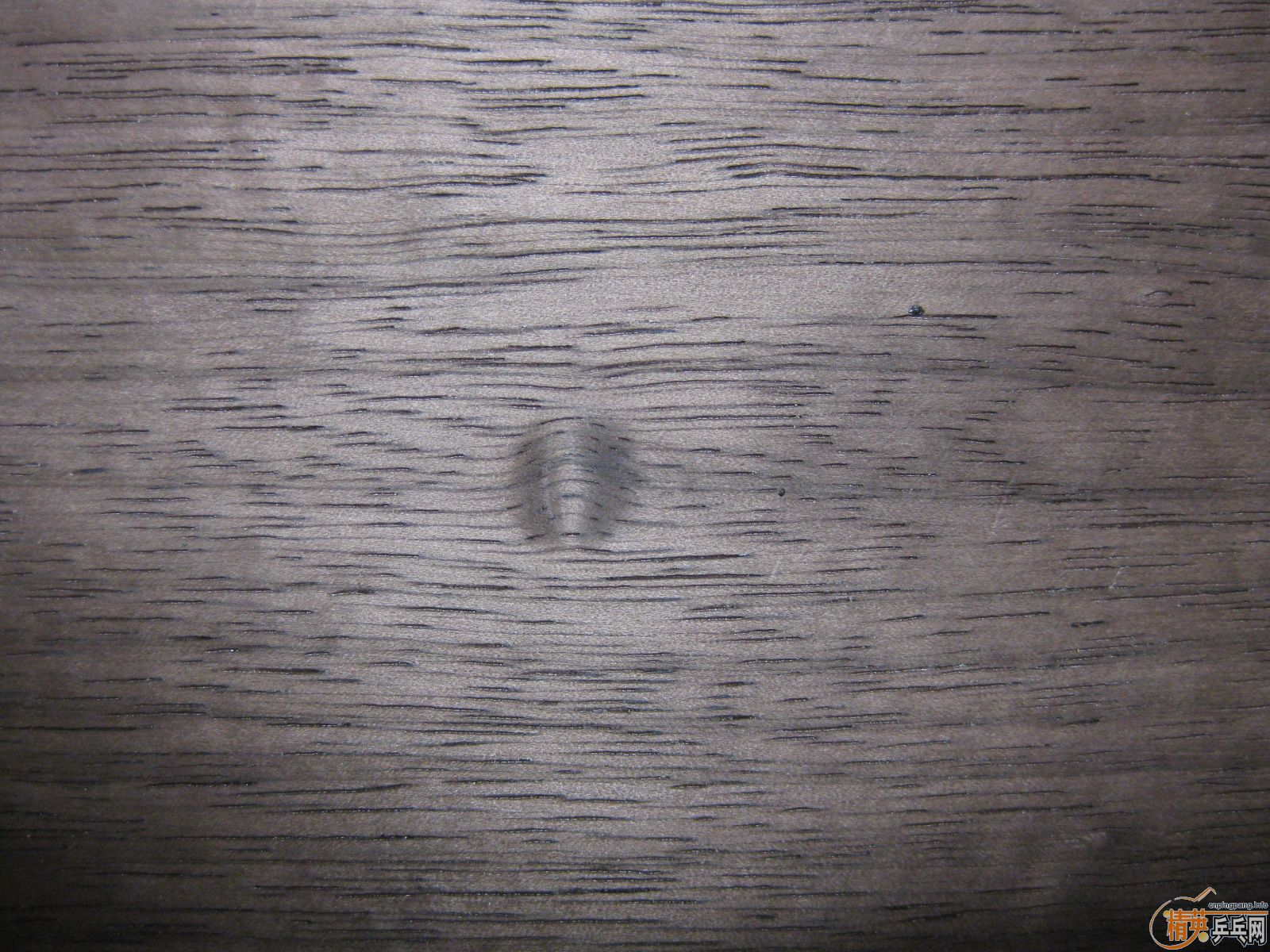 �ų���stiga���7.6��ŷ�棩����