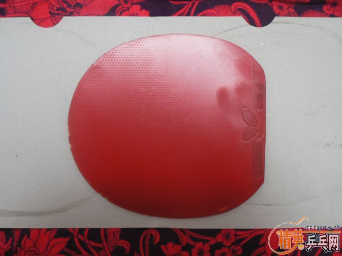 100Ԫ����ݳ��ۺ���CATAPULT�����׽���TACKIFIRE-C�����׽�