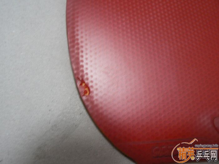 100Ԫ����ݳ��ۺ���CATAPULT�����׽���TACKIFIRE-C�����׽�