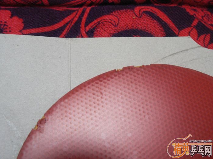 100Ԫ����ݳ��ۺ���CATAPULT�����׽���TACKIFIRE-C�����׽�