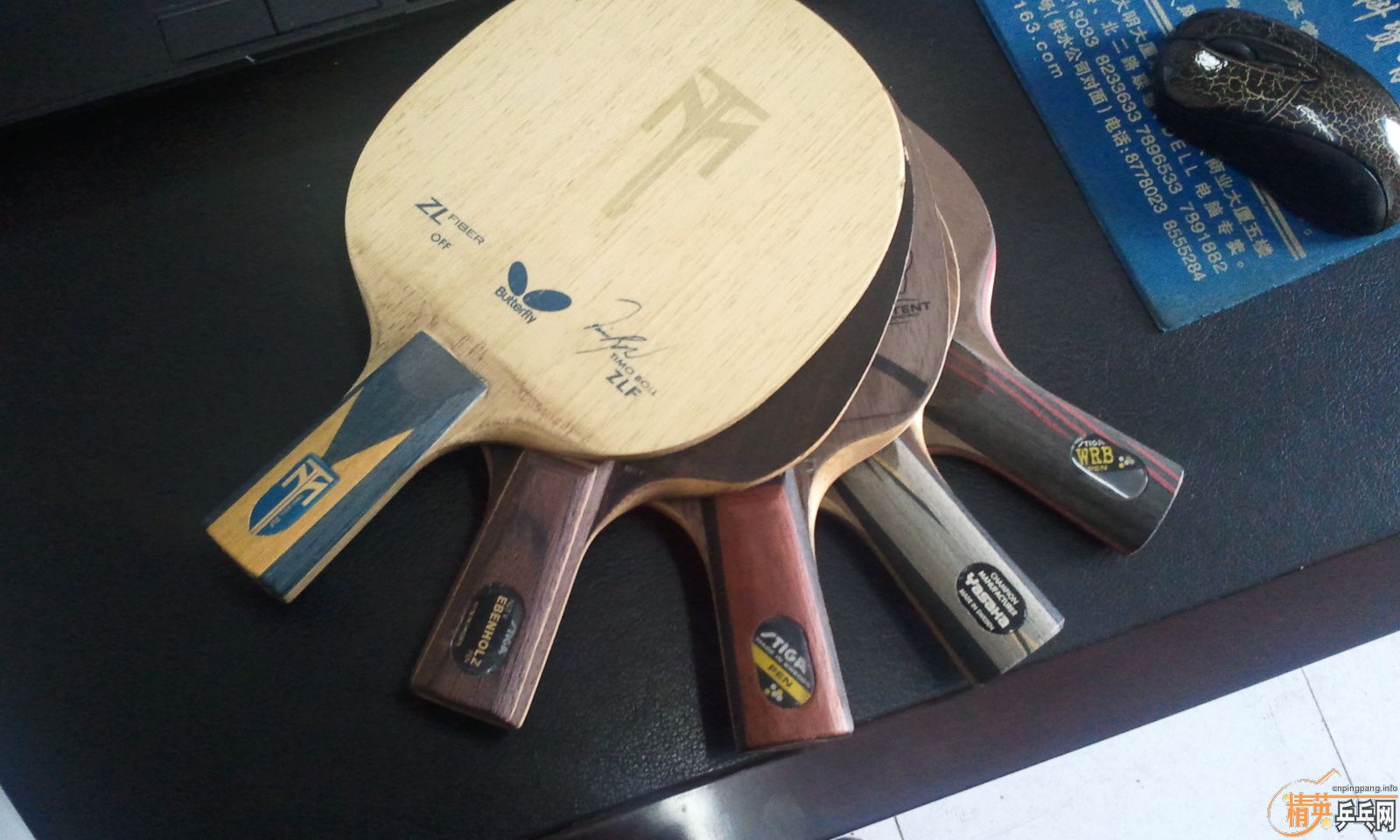 ������zlf����̴5��С���٣�yeo���Ʊ�oc���Ʊ��ڣ�