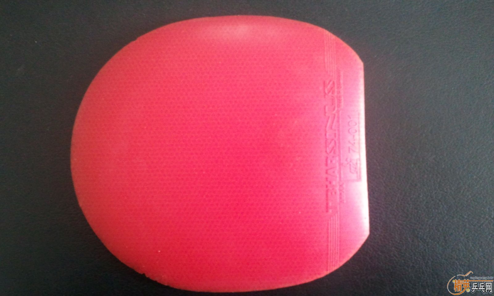 ������zlf����̴5��С���٣�yeo���Ʊ�oc���Ʊ��ڣ�