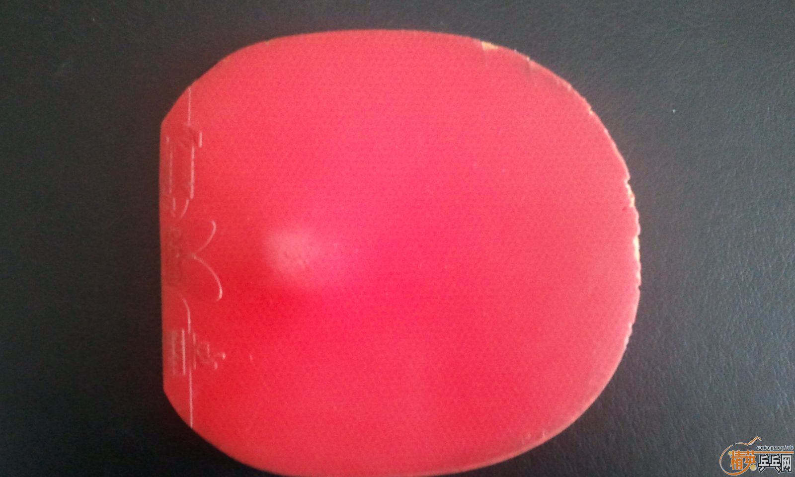 ������zlf����̴5��С���٣�yeo���Ʊ�oc���Ʊ��ڣ�