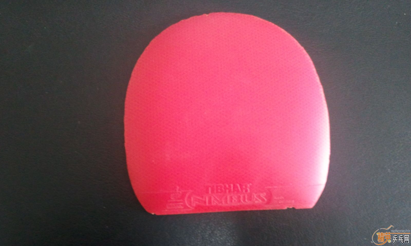 ������zlf����̴5��С���٣�yeo���Ʊ�oc���Ʊ��ڣ�