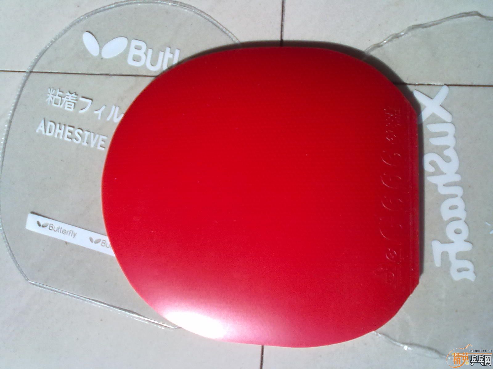 ����������µ��Դ򷴽��׽���Ƥ