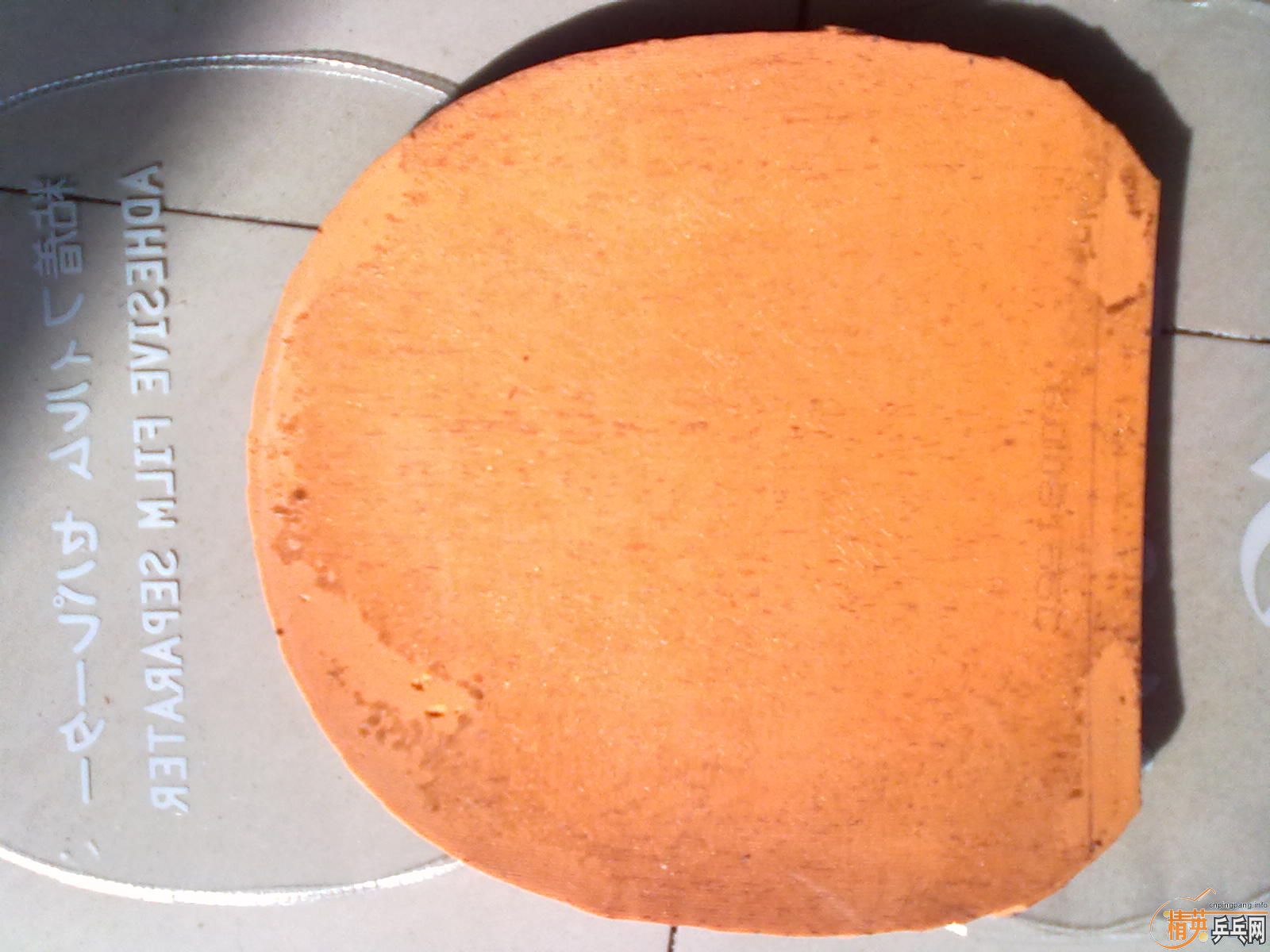 ����������µ��Դ򷴽��׽���Ƥ