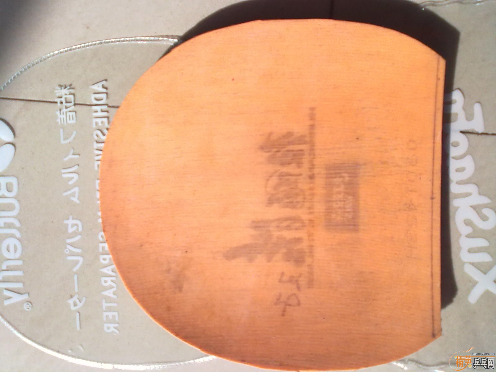 ����������µ��Դ򷴽��׽���Ƥ