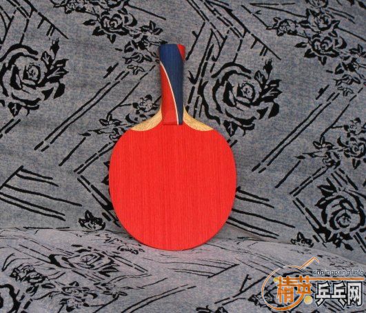 еƷWing  Passion  medium 飩