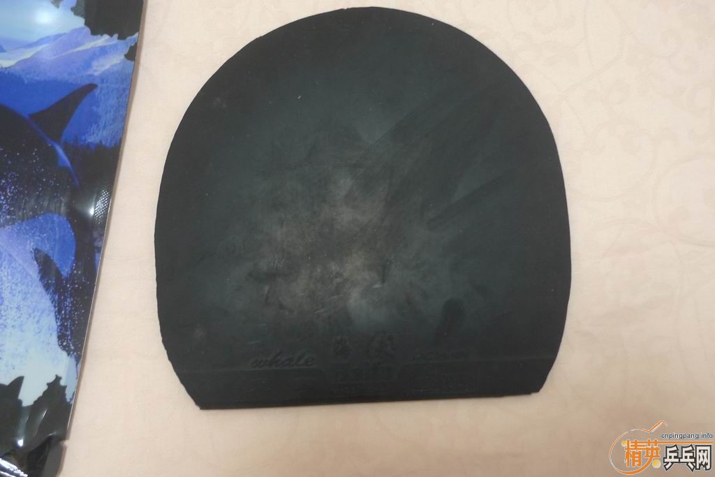 ��ѡ���������