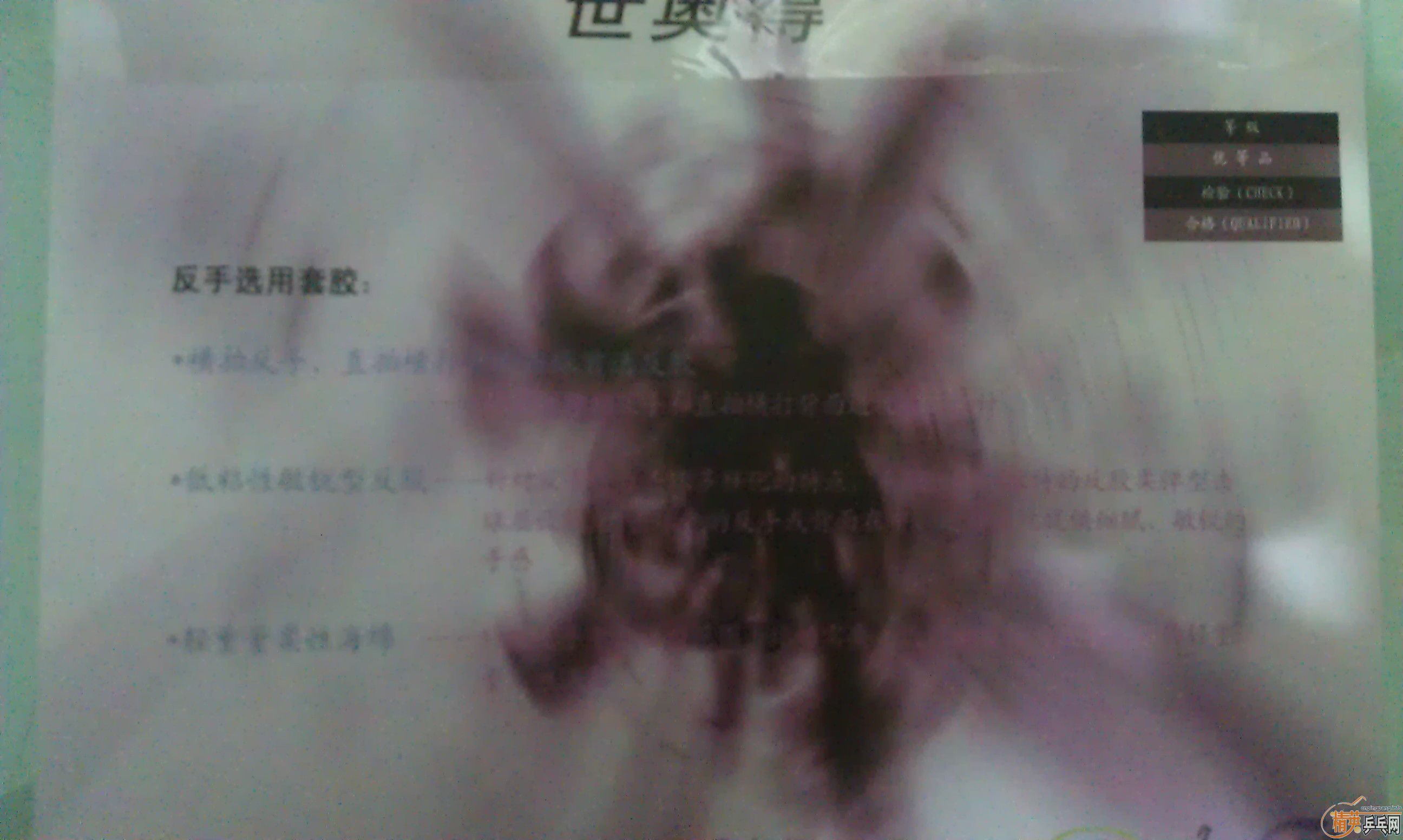 齱еµýƤ