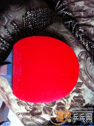 ��ʡ��ų� �� 110Ԫ