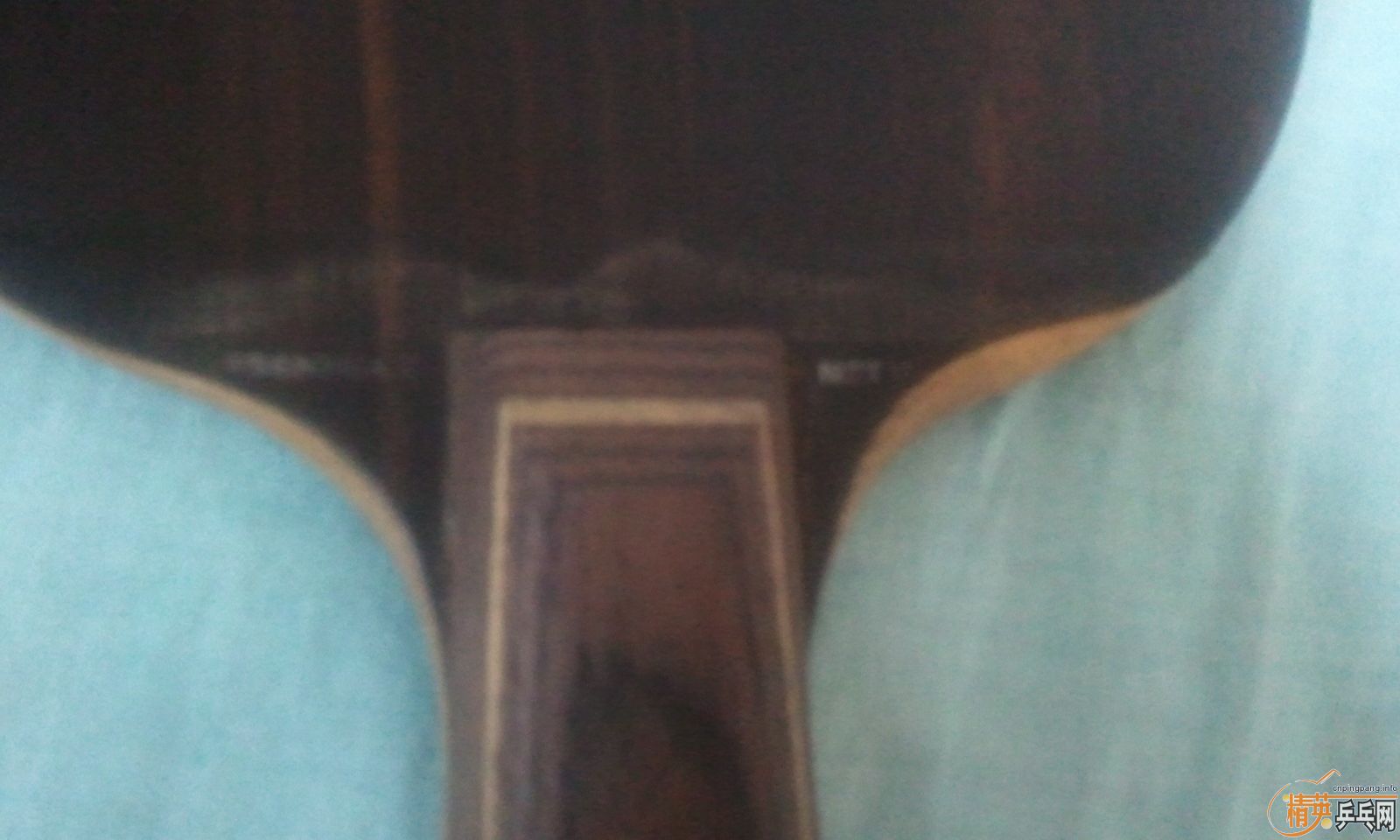 ��������ʤ�����л���̴��