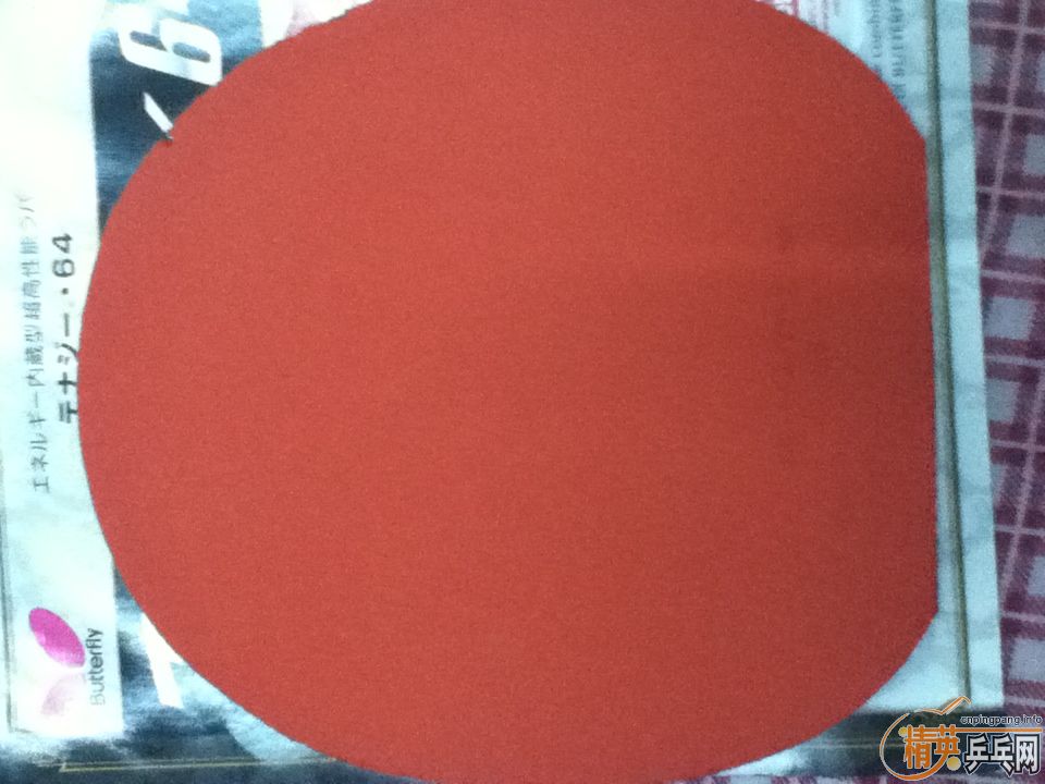 (ȫˣ)t05Сt64