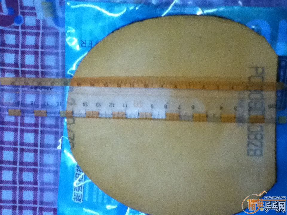 (ȫˣ)t05Сt64