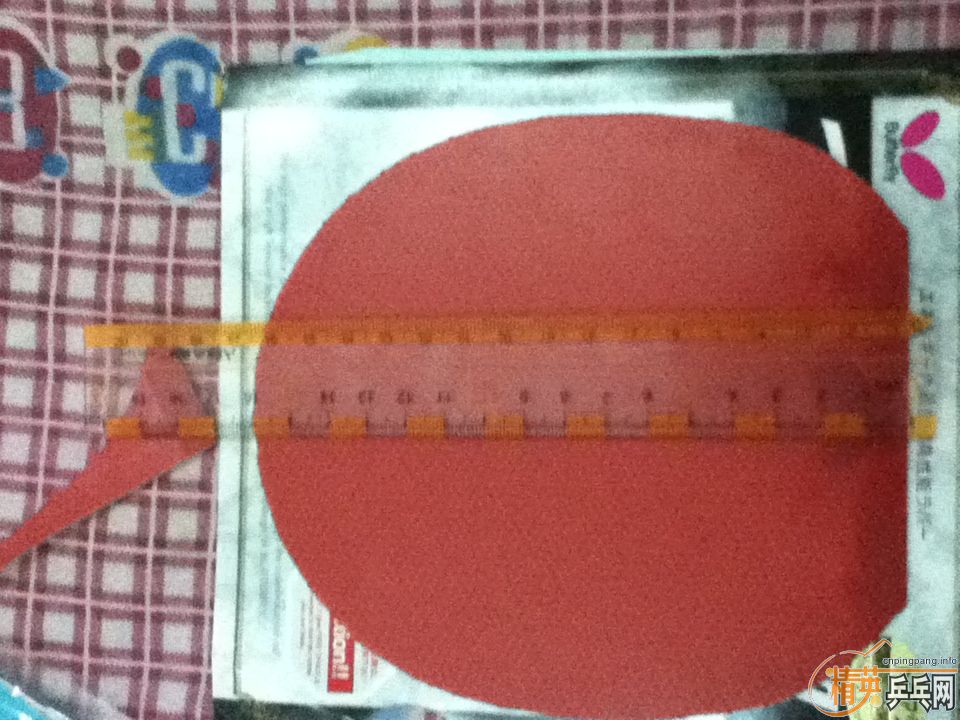 (ȫˣ)t05Сt64