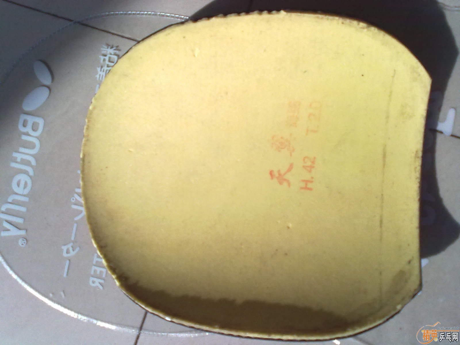 ����������µ��Դ򷴽��׽���Ƥ