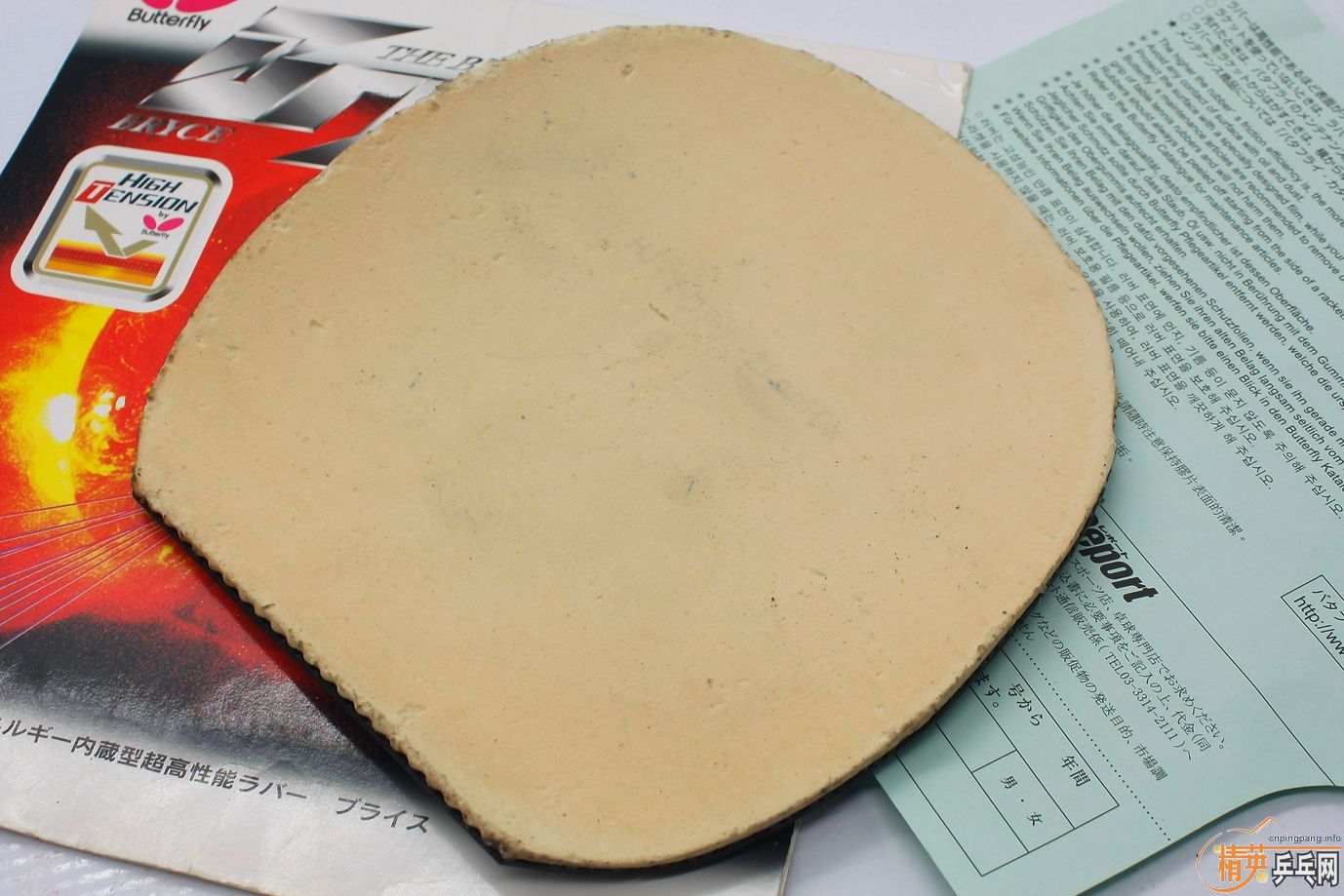 ���������FX��ɫ�׽�������