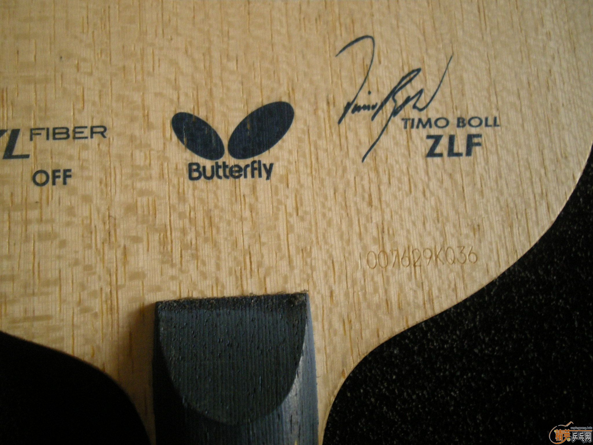 [ע](ѳѣƯۣBOLL-ZLF-->qupiterת