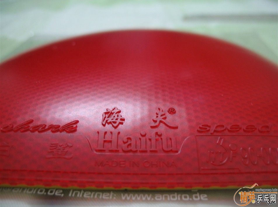 ��֧������������������켫3������2רҵ��ѵ���棬����