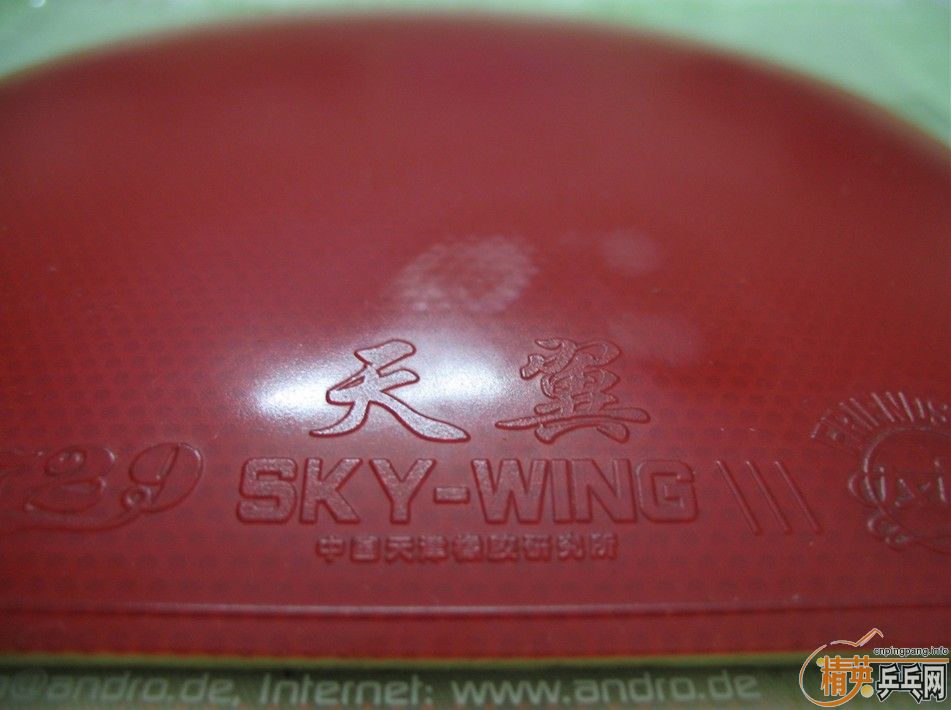 ��֧������������������켫3������2רҵ��ѵ���棬����