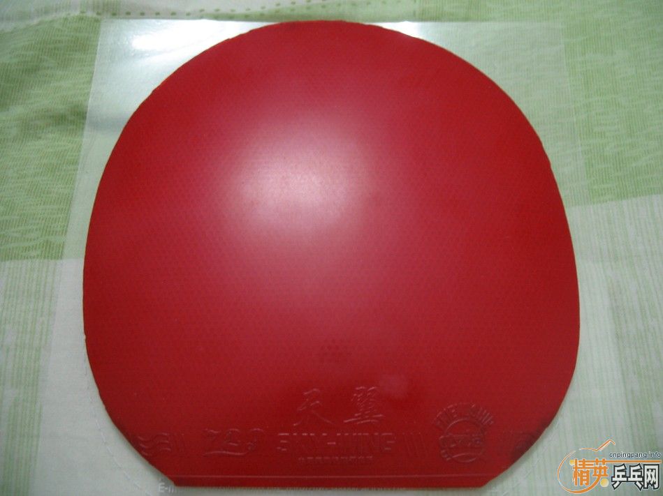 ��֧������������������켫3������2רҵ��ѵ���棬����