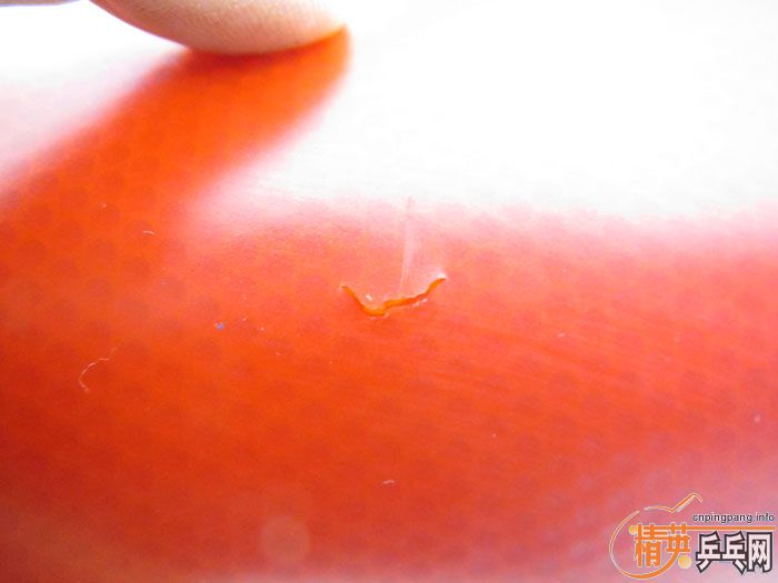 29Ƭ���ֽ� ������𺳷��� F1 SRIVER T05 ��� ���� �켫