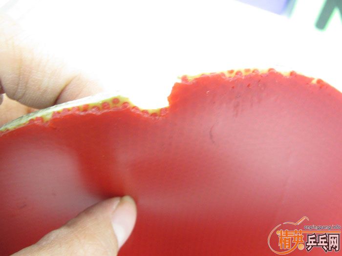 29Ƭ���ֽ� ������𺳷��� F1 SRIVER T05 ��� ���� �켫