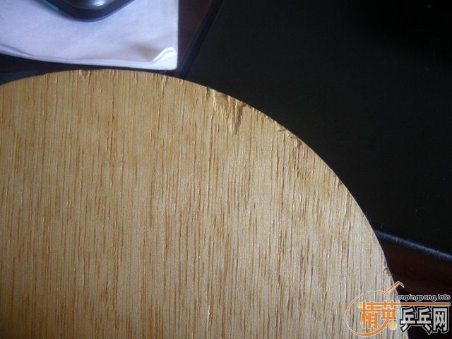 ��ŷ��CL-CR��֧�������ף�