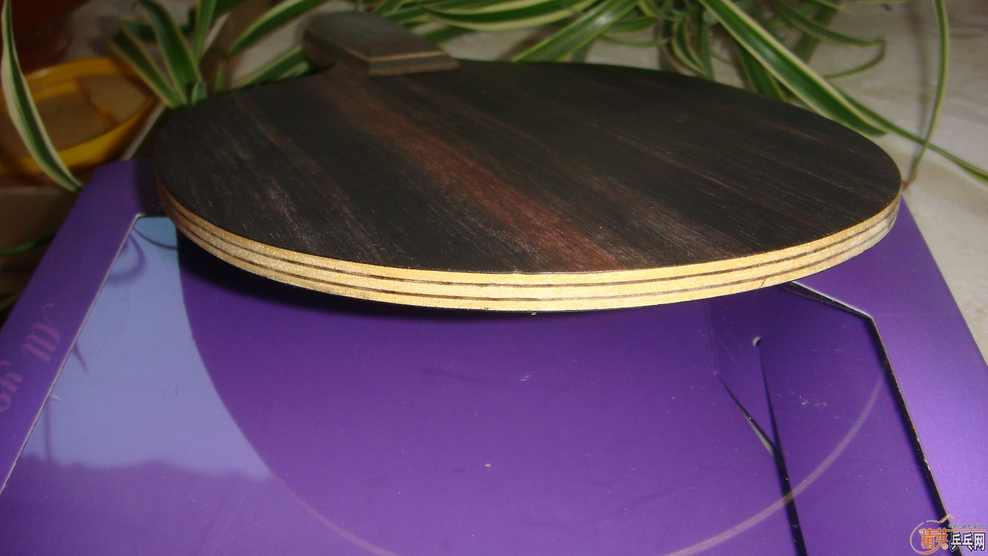 ��̨����ľ��̴7����ALC��������׽�