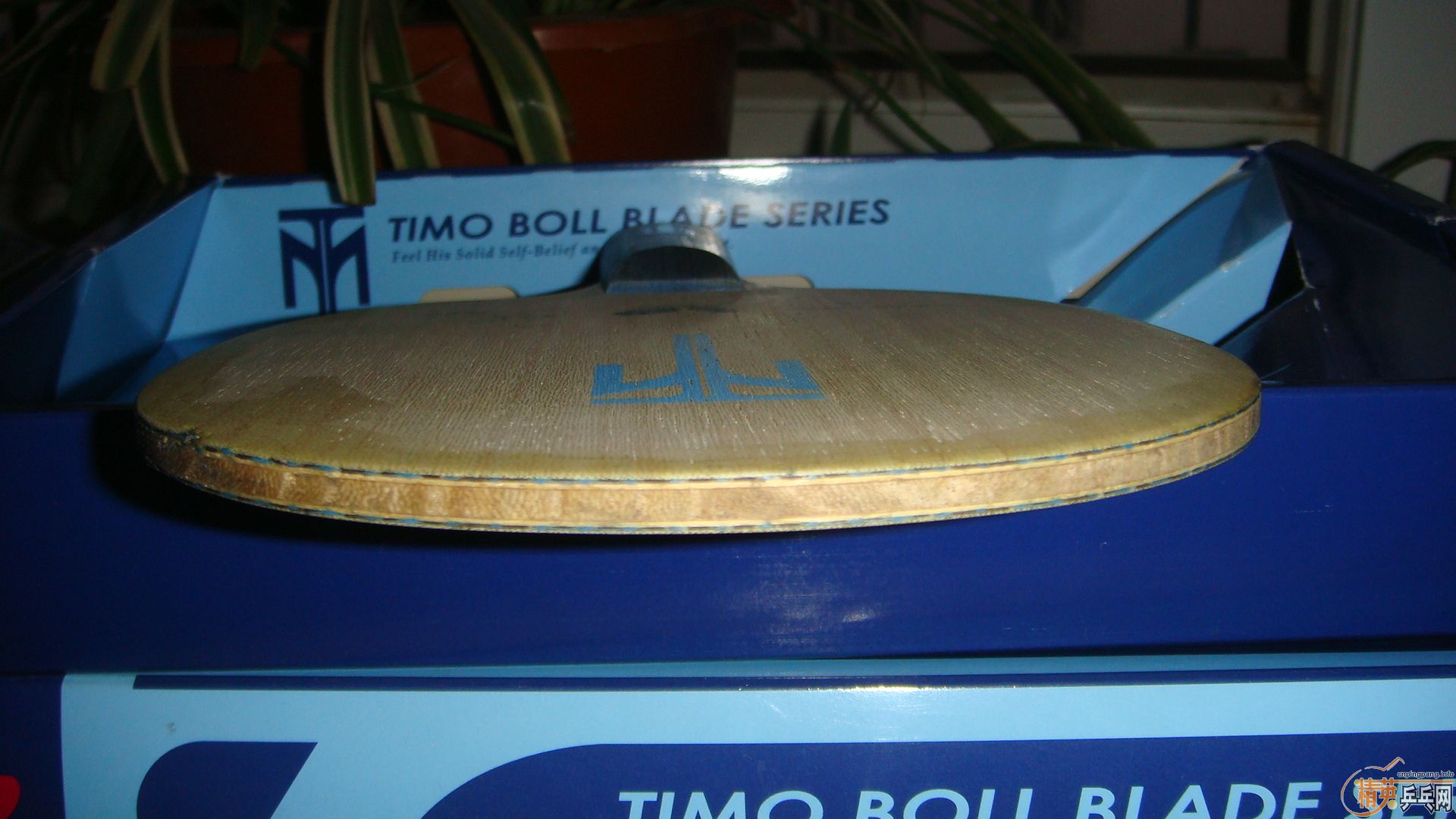 ��̨����ľ��̴7����ALC��������׽�