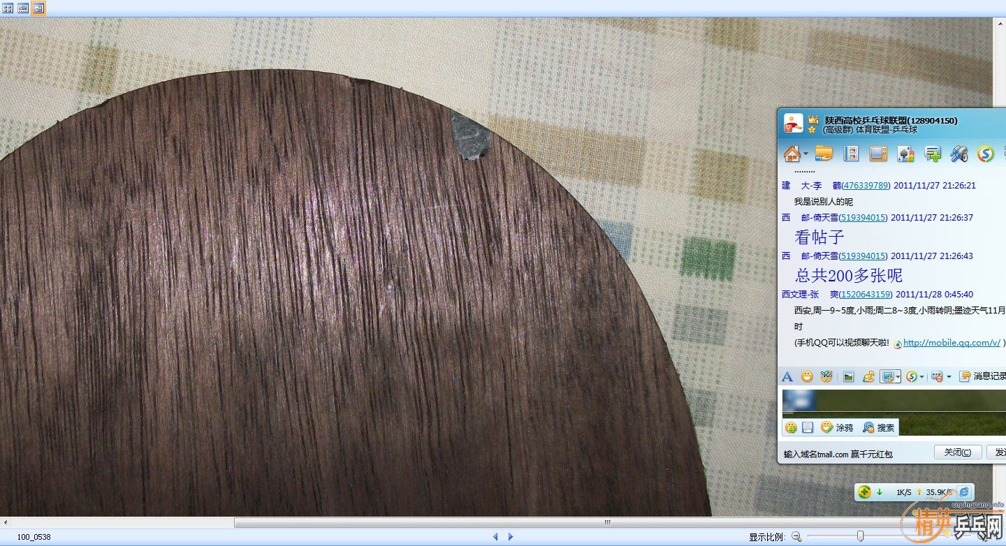 ���˰���µ�˹�ٿ����̿����弰��������׽�