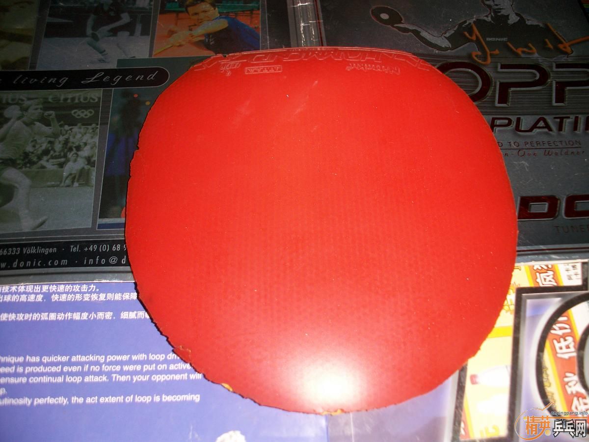 һֻ����һ��Ƥ�� �ײ���