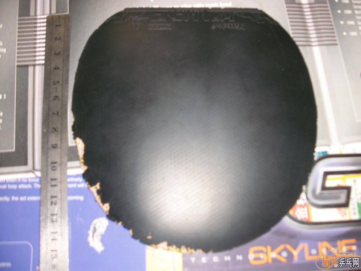 һֻ����һ��Ƥ�� �ײ���