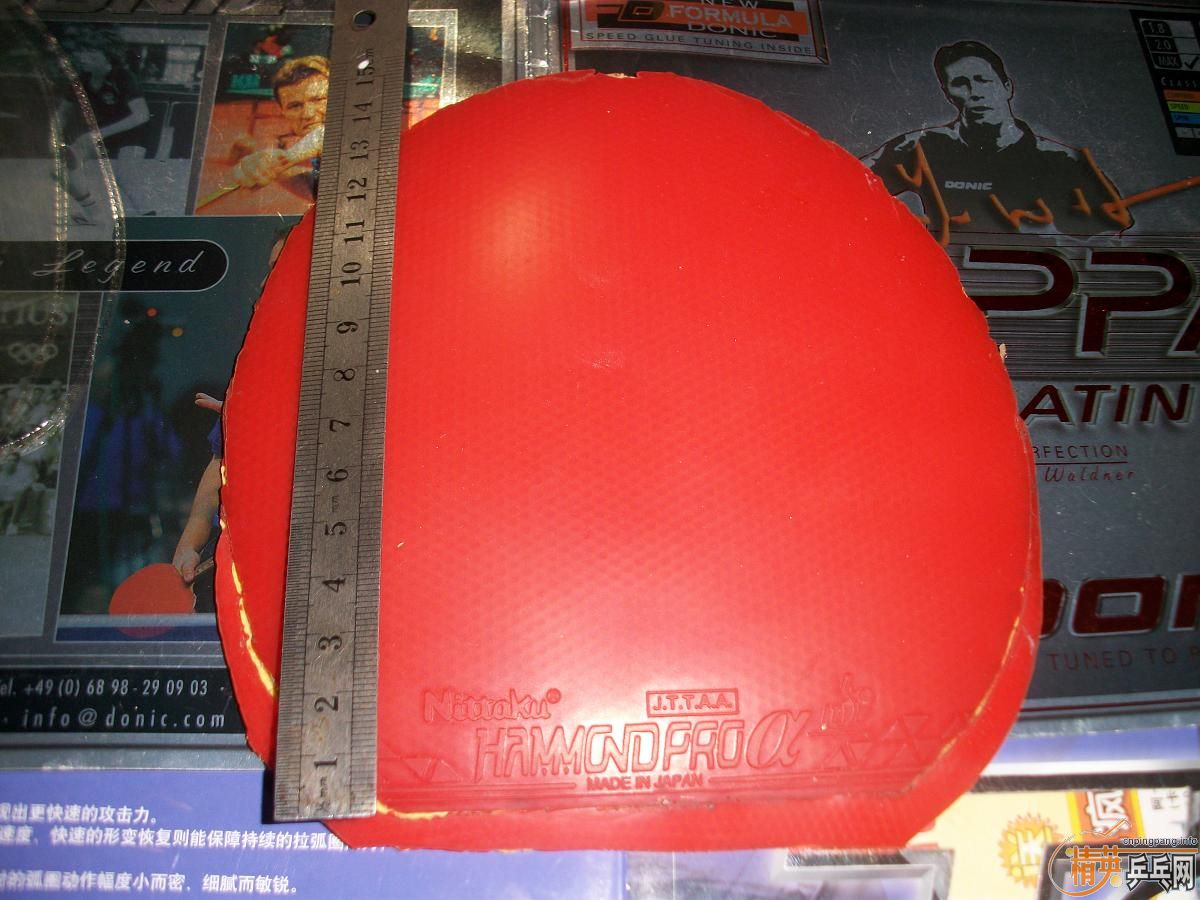 һֻ����һ��Ƥ�� �ײ���