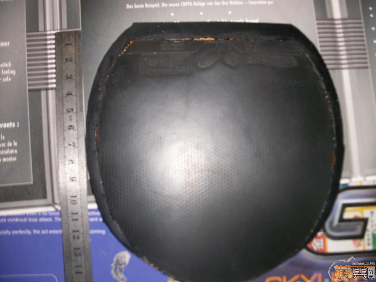 һֻ����һ��Ƥ�� �ײ���