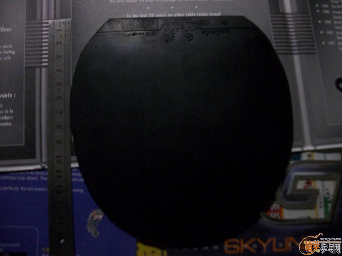 һֻ����һ��Ƥ�� �ײ���