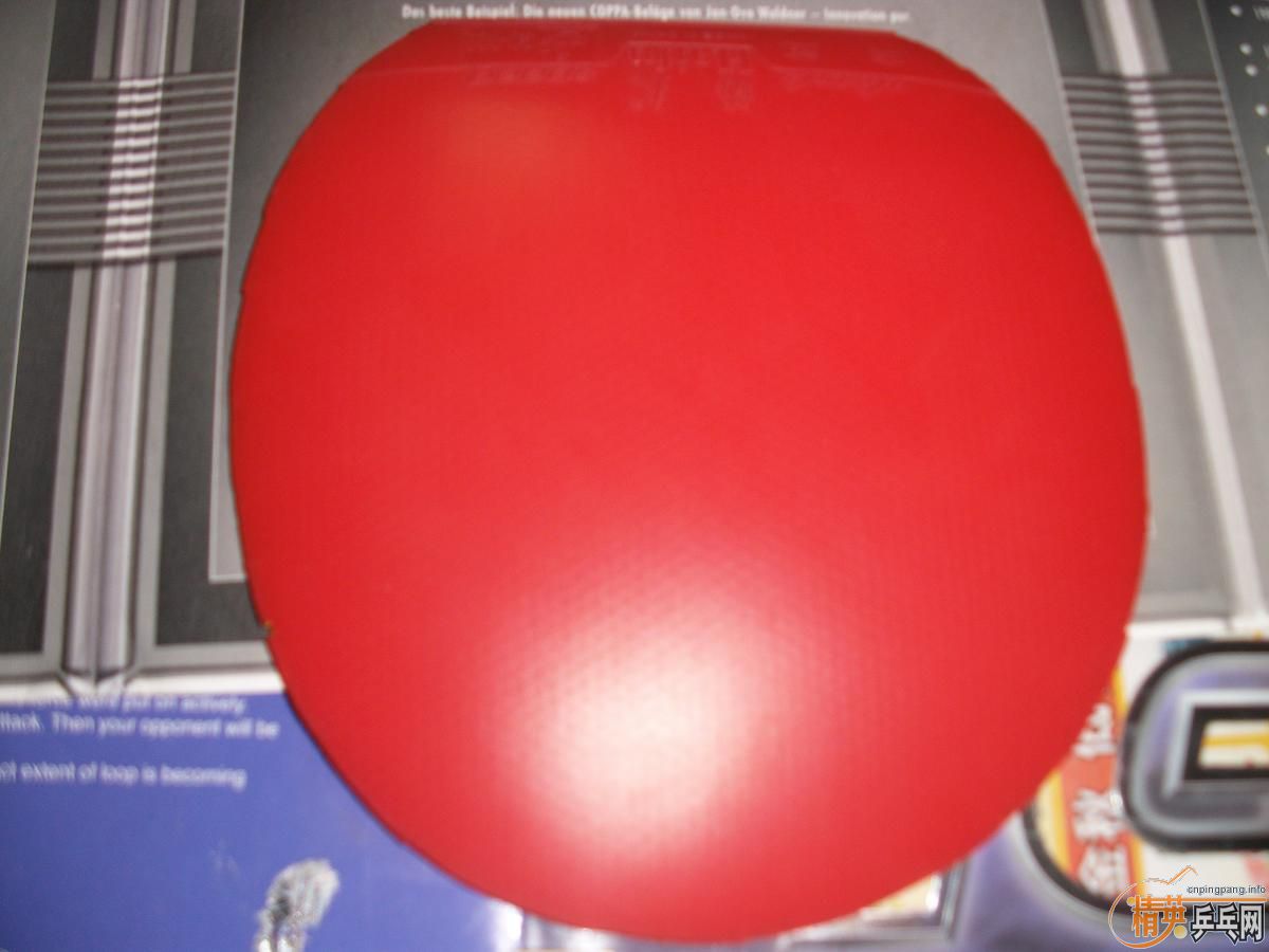 һֻ����һ��Ƥ�� �ײ���