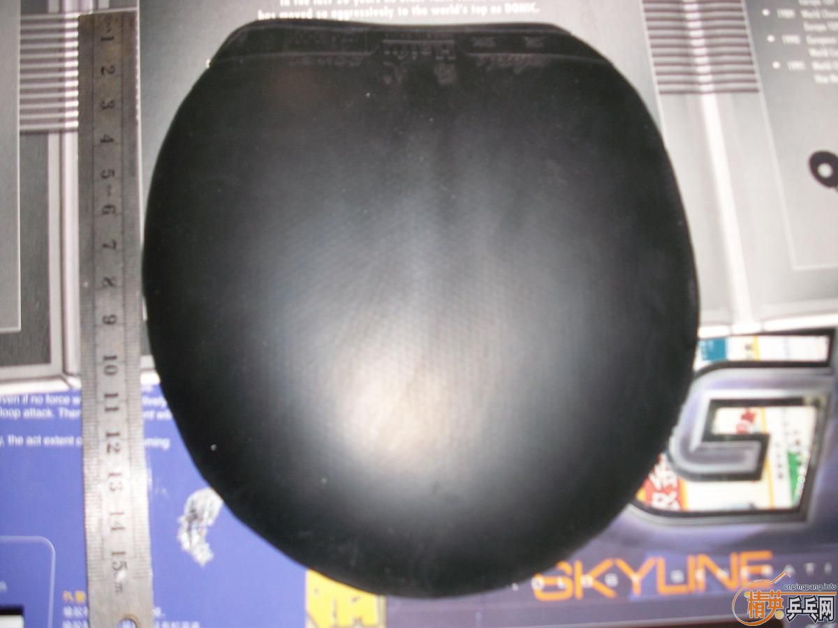 һֻ����һ��Ƥ�� �ײ���