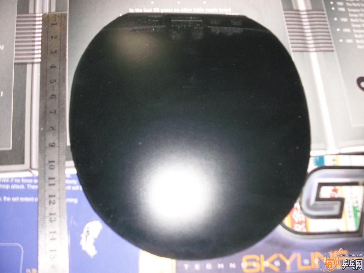 һֻ����һ��Ƥ�� �ײ���